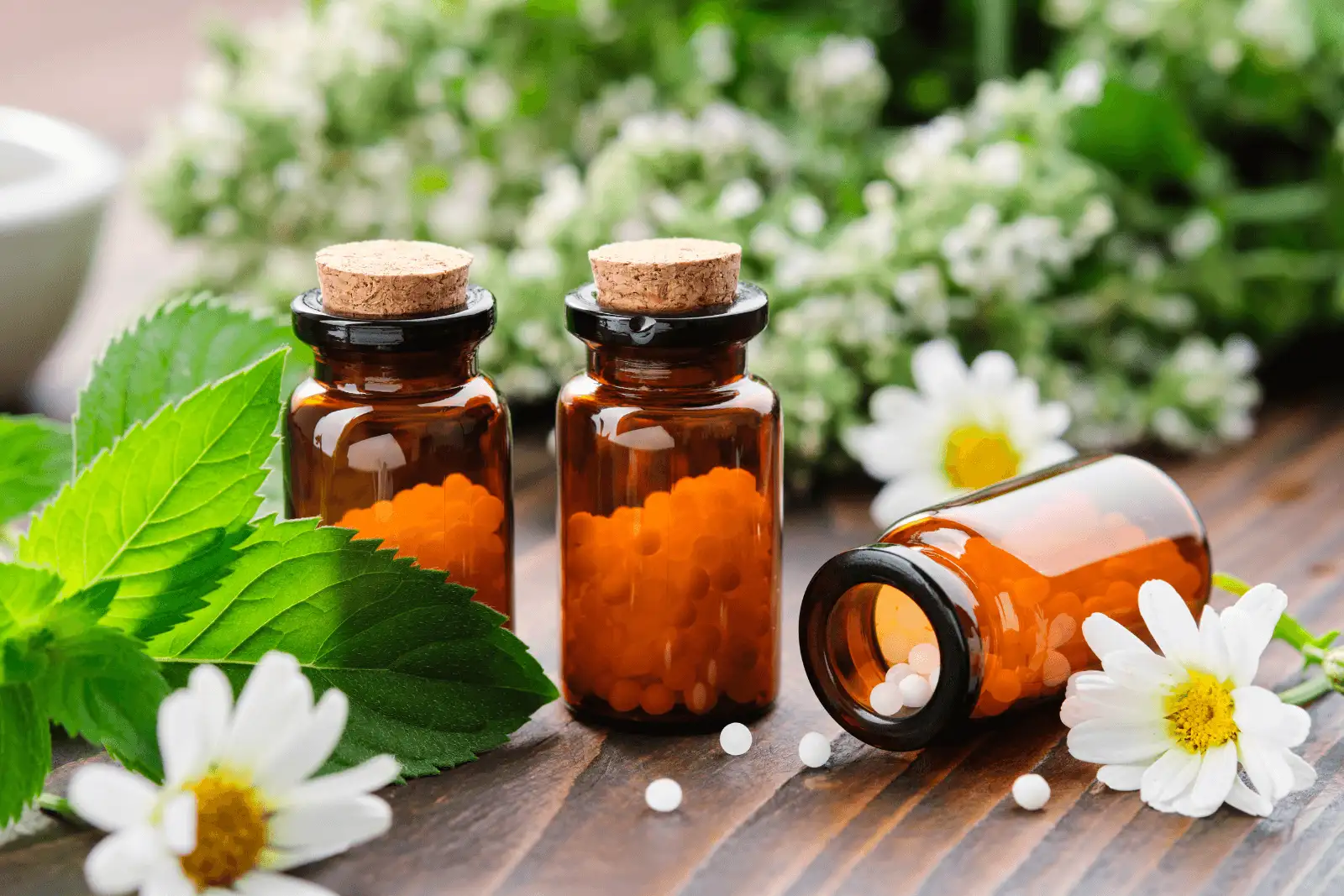 Botanical Medicine